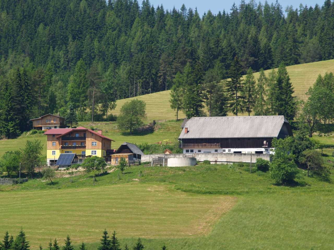 P6128415JPG