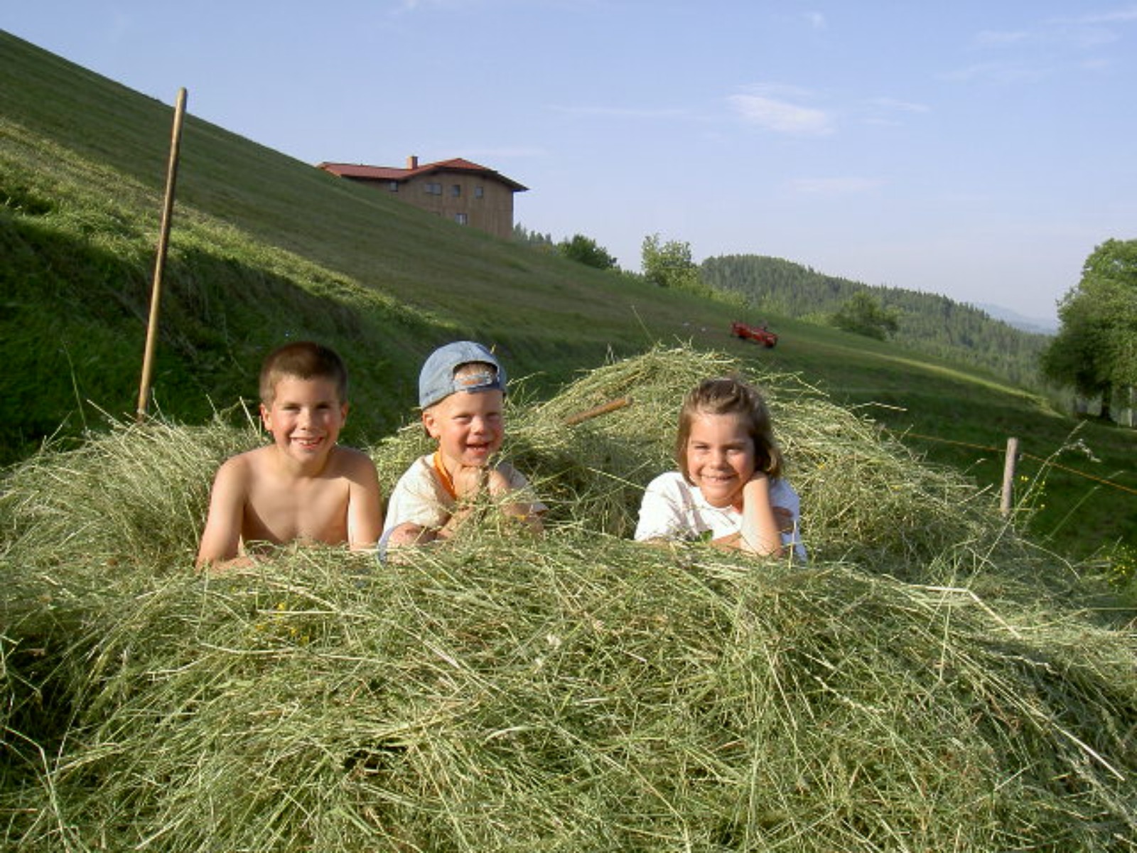 PICT5610JPG