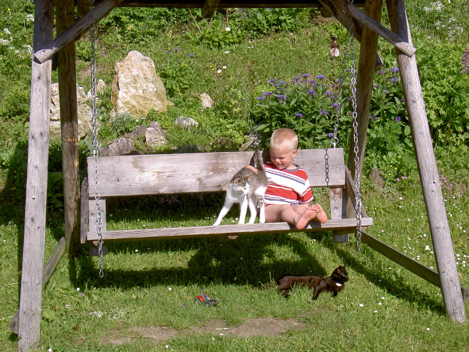 PICT5602JPG